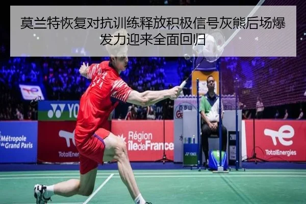 莫兰特恢复对抗训练释放积极信号灰熊后场爆发力迎来全面回归